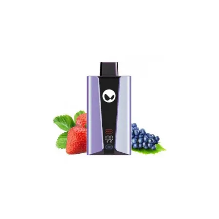 Waka 20000 англ. ORIGINAL (Strawberry watermelon)